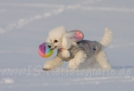 01 Prinzessin Lillifee